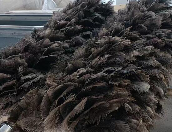 汽車噴涂鴕鳥毛毛刷 汽車噴涂鴕鳥毛毛刷